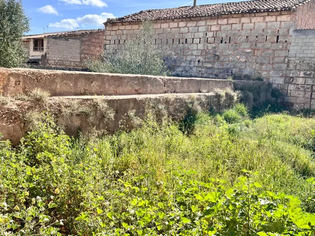 Solar en Sa Pobla — 3