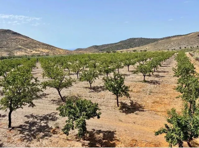 Finca agrícola y ganadera de 25.000 m2 con pozo propio, plac