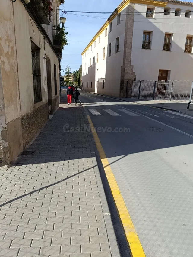 TERRENO UBICADO EN ZONA CENTRICA DE MULA — 5