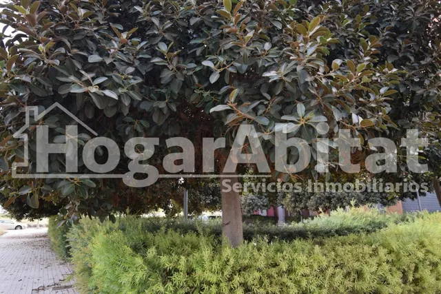 TERRENO URBANO junto Av. Espioca — 8