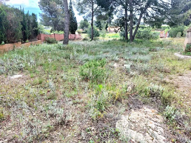 GRAN OPORTUNIDAD PARCELA EN BETERA PUEBLO! — 4