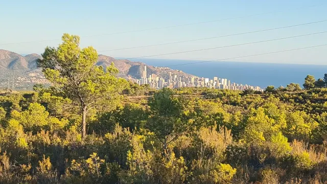 TERRENO RUSTICO EN ZONA LA NUCIA A 4 MINUTOS DE COLEGIO ELIA - foto 2