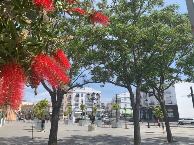 Magnífico local comercial junto a la Plaza Andalucía — 2