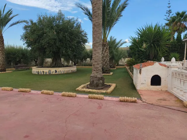 Chalet con piscina en peña las aguilas-Elche — 7