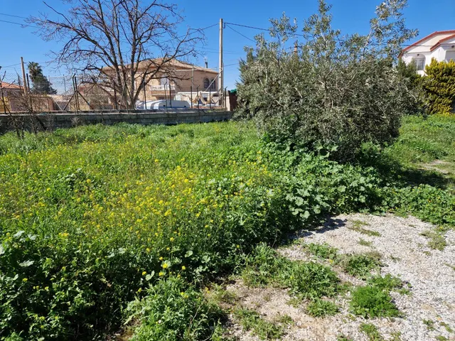 Terreno urbanizable en Ogijares — 23
