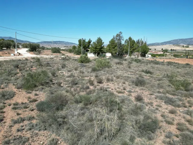 Terreno en venta en Pinoso, Alicante | Parcela rústica