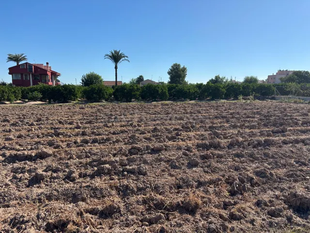 VENTA DE PARCELA RUSTICA EN CASILLAS — 4