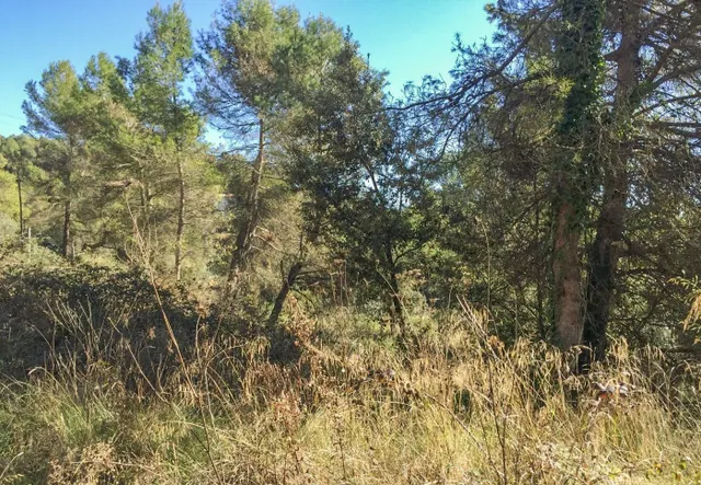 TERRENO URBANO EN RELLINARS DE 946 M2 - ZONA EL PLANET — 23