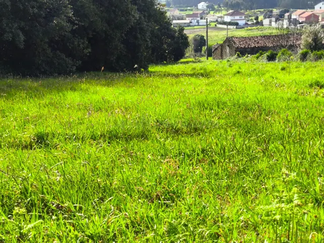 Se vende finca urbana en Pasacondia, Malpica de Bergantiños - foto 4