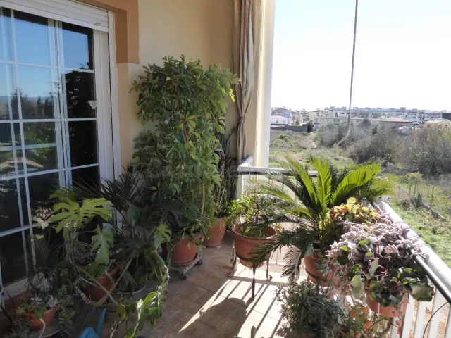 ¡¡¡ESPECTACULAR VIVIENDA CON LOCAL EN VENTA!!! - foto 4
