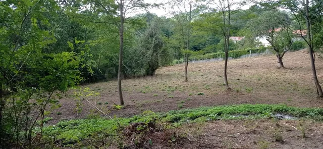 TERRENO URBANO EN VENTA EN PONTEULLA DE 3241 METROS - foto 5
