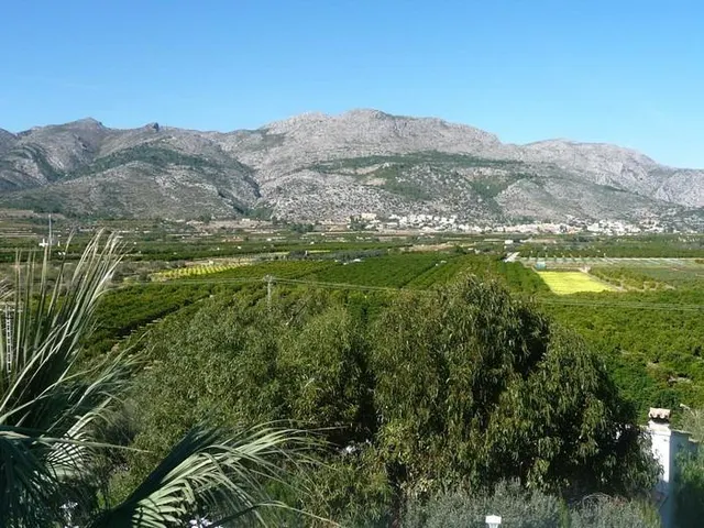 Gran solar urbanizable en Orba — 6