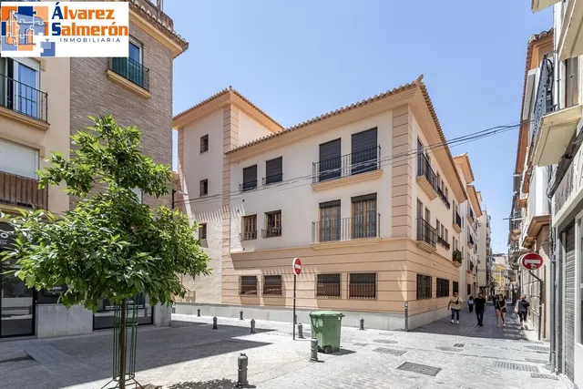 Dúplex en nueva de la virgen - Granada — 30