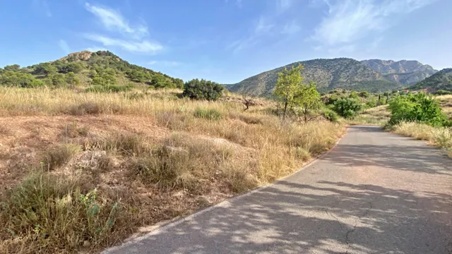 FINCA DE 6 Hectáreas con CASA CORTIJO para reformar — 13