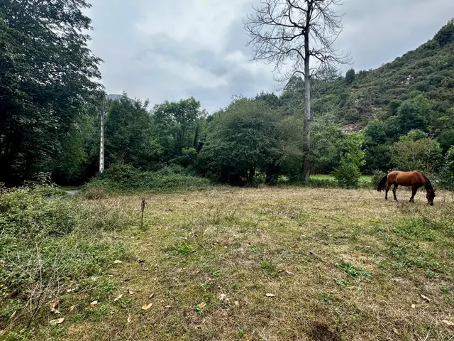 FINCA EDIFICABLE A 10 KM DE LA PLAYA — 7