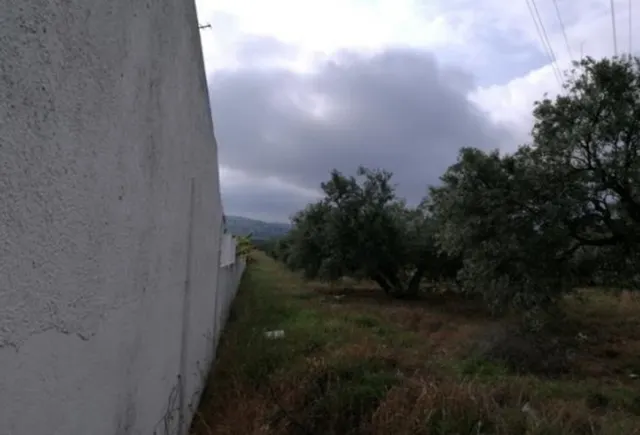 13.000M2 de suelo urbano en Martos para edificación plurifamiliar y comercial — 8