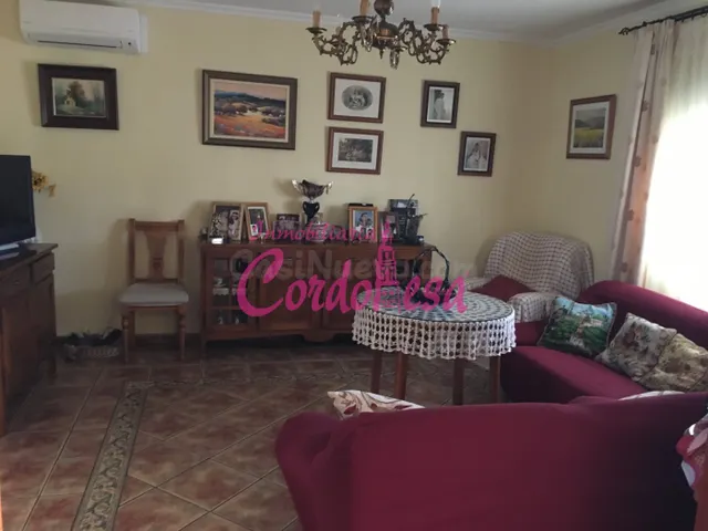 MAGNIFICO CASA CON TERRRENO EN ALCOLEA!! — 3
