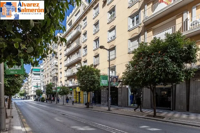 PISO COMPLETAMENTE REFORMADO EN CALLE RECOGIDAS — 38