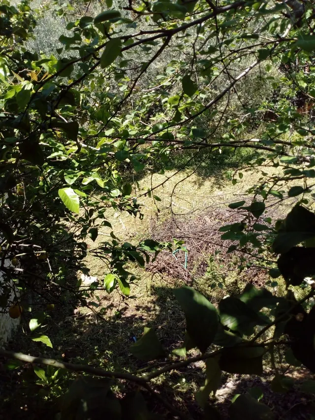Finca rústica a la venta en Comares — 21