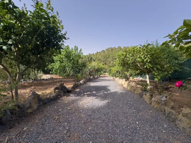 Finca rústica de 5.330 m2 con construcción de 94 m2 en La Florida — 26