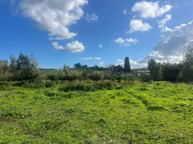¡Oportunidad Única: Parcela en Los Barrios! - foto 5