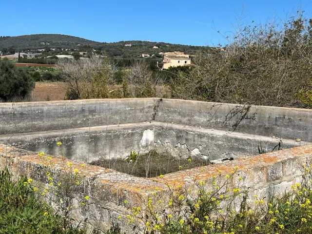 OPORTUNIDAD GRAN FINCA RUSTICA CON CASA TIPICA MALLORQUINA,  - foto 4