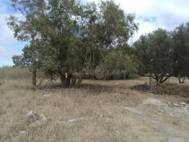MAGNIFICA PARCELA EN PUERTO REAL EN CASINES — 4