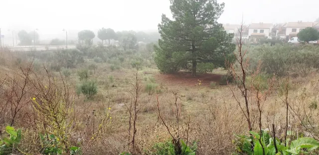 Urbis te ofrece unas parcelas en venta en Boecillo, Valladolid. — 18