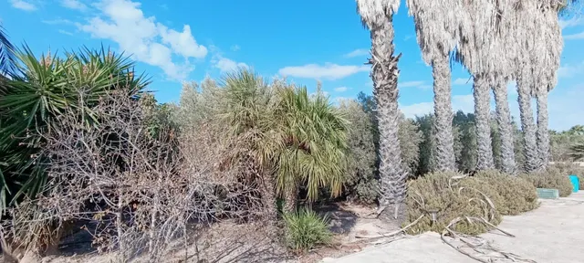 Espléndida Casa de Campo con Piscina en La Hoya, Elche — 34