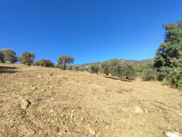Parcela en venta - South of spain — 17