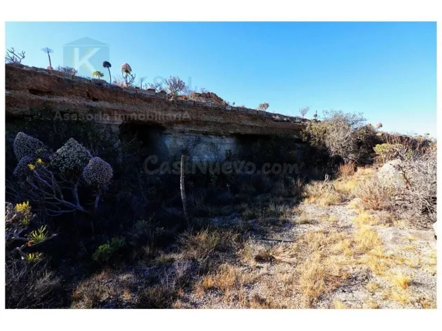 Gran terreno con huertas descansadas en Güimar — 22