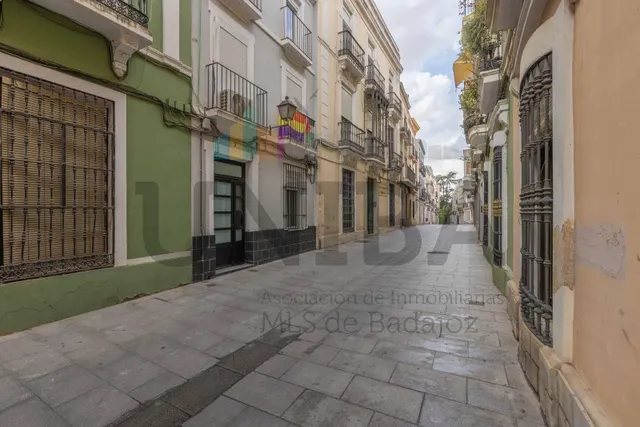 PISO TOTALMENTE REFORMADO EN EL CASCO ANTIGUO, JUNTO A PUERTA PALMAS — 25
