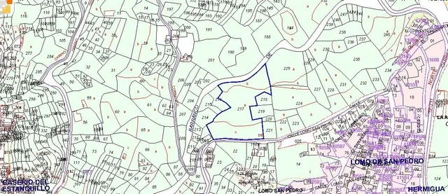 Terreno rural en venta - Las nuevitas la gomera - foto 3