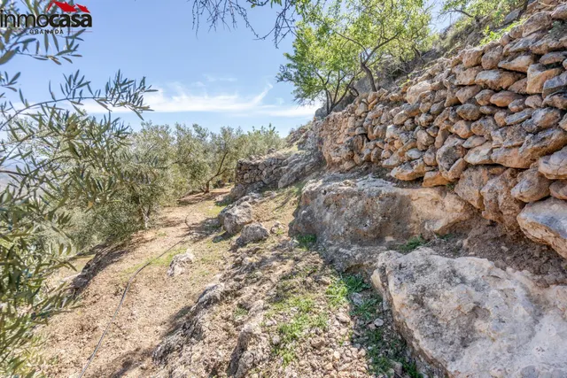 TERRENO EN PINOS DEL VALLE — 8