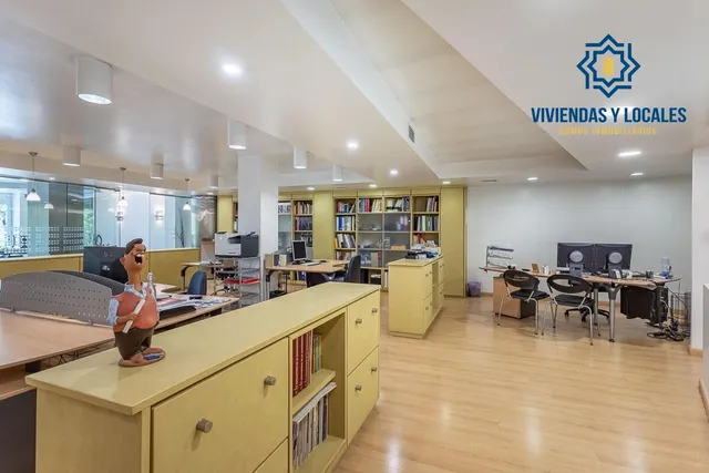 EXCLUSIVO INMUEBLE EN PLAZA DE CARRETAS, JUNTO AL EMBLEMÁTICO PASEO DEL SALÓN — 12
