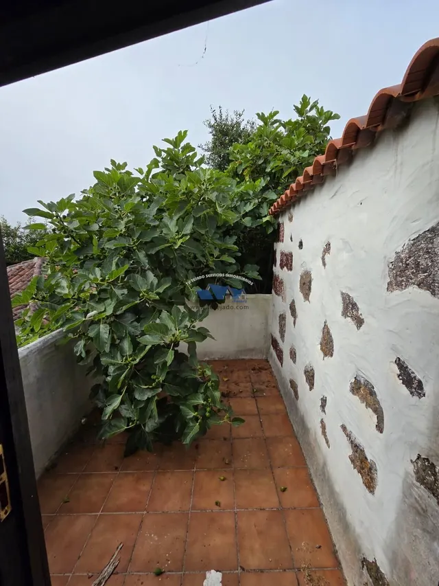 Casa típica canaria en venta — 10