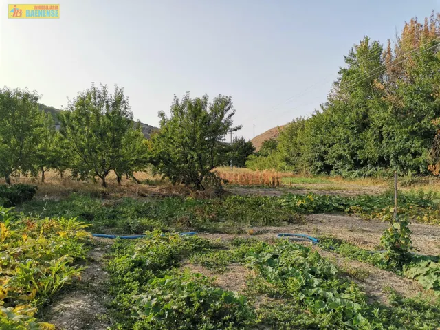 Huerta en venta — 4