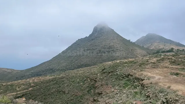 SE VENDE FINCA RÚSTICA EN SANTA CRUZ DE TENERIFE ( VILAFLOR)