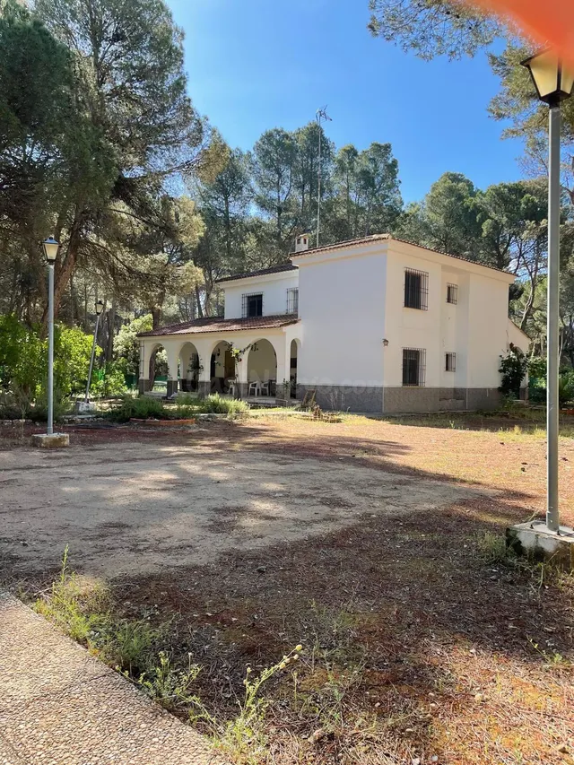 Espectacular Chalet en Los Llanos, Albacete - Ideal para Dis