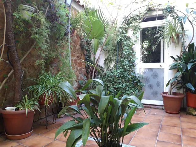 Casa independiente singular en san pedro, Córdoba! — 8