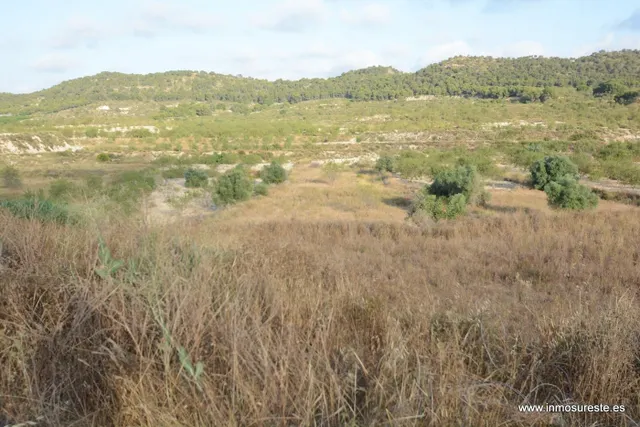 Terreno rústico de secano en la pedanía de Torremendo, Orihuela. 17.000 m2. de superficie. — 4