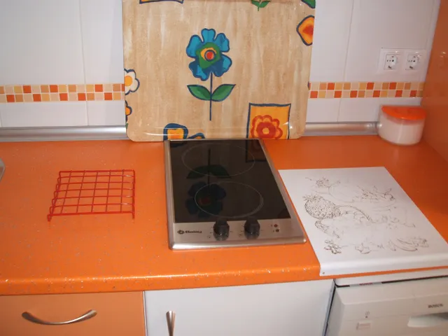 PISO AMUEBLADO DE DOS DORMITORIOS EN PLANTA BAJA, CON AMPLIO SALÓN, COCINA INDEPENDIENTE Y PATIO. CALEFACCIÓN DE GAS INDIVIDUAL, AIRE ACONDICIONADO, ARMARIOS EMPOTRADO. — 13