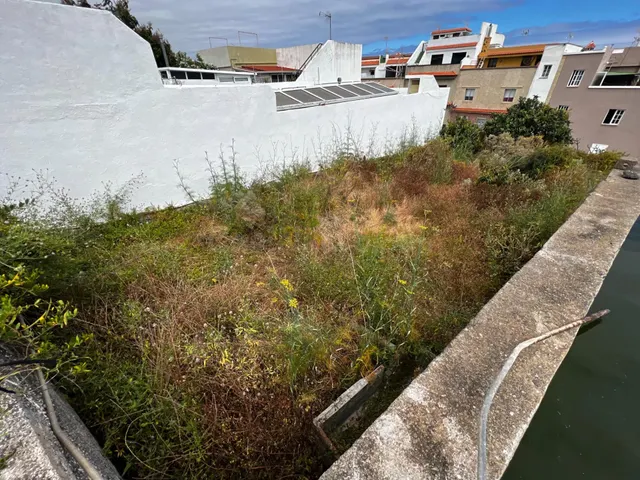 SUELO URBANO CONSOLIDADO EN ICOD DE LOS VINOS - foto 2