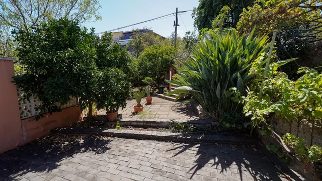 CASA REFORMADA CON AMPLIO TERRENO EN LA SOLANA, SAN MATEO — 13