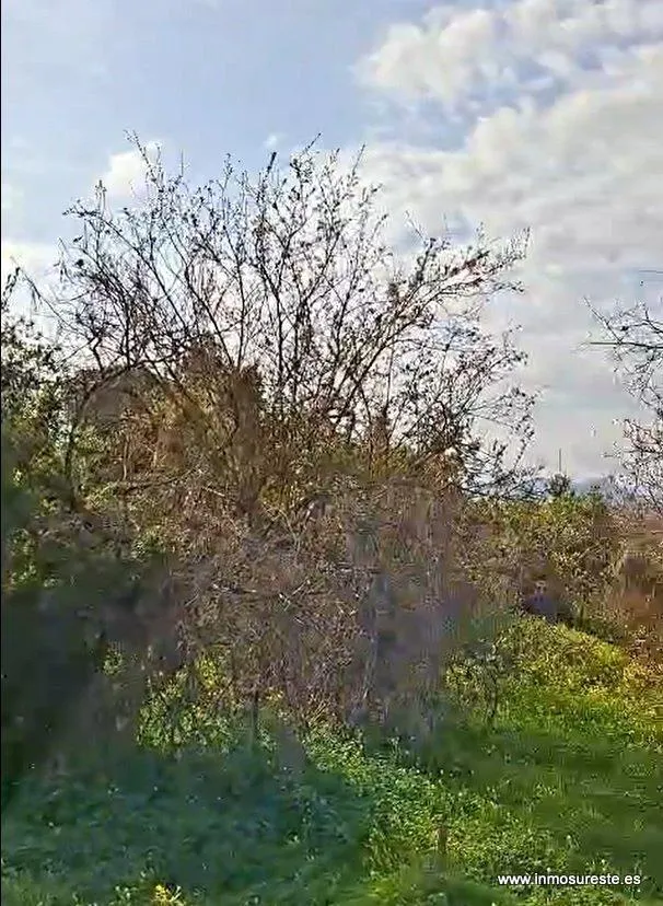 ¡¡ BAJADA DE PRECIO !! Terreno rústico en la carretera de Hurchillo, Orihuela, 3.700 m2. de superficie — 7