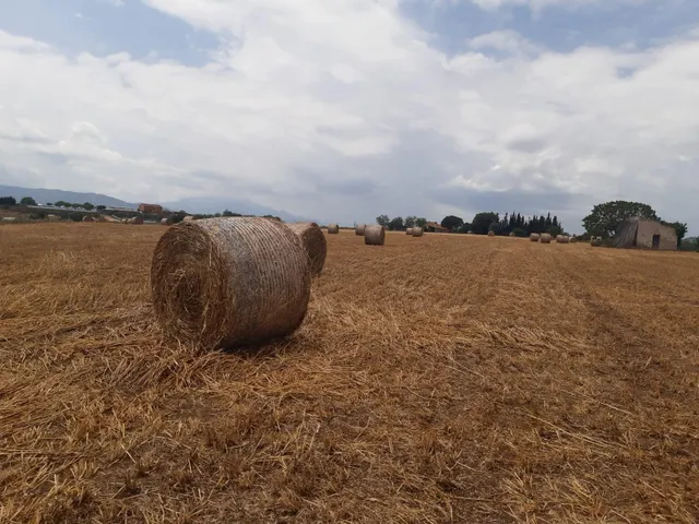 Dos parcelas rústicas juntas entre Tordera y Blanes — 3