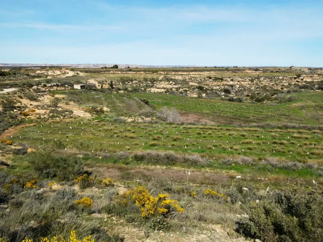 Suelo rústico en Venta en Caspe Zaragoza - foto 4