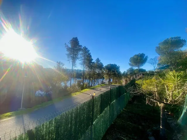 Las jaras - foto 4