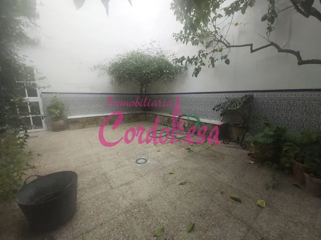 MAGNIFICA CASA EN PLENO CENTRO CIUDAD — 7