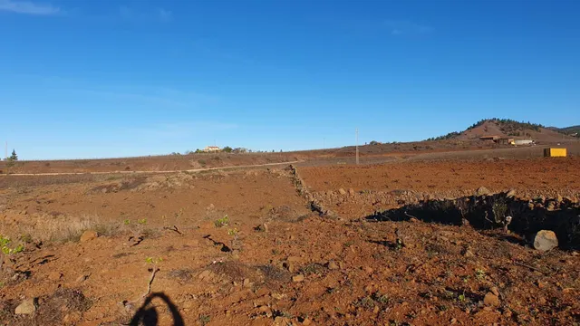 SE VENDE VIÑEDO EN VILAFLOR — 15